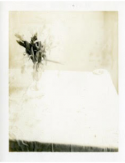Laura Letinsky  Untitled, 2002, from the series Time's Assignation, 2002  Polaroid  4 1/2h x 3 1/2w in 11.43h x 8.89w cm, oxidized polaroid of a table top still life with vase of tulips on white table