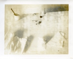 aura Letinsky  Untitled #114, from the series Hardly More Than Ever, 2003  Archival Pigment Print  32h x 25w in 81.28h x 63.50w cm  Edition of 15  LL_063, 3 x 5 inch polaroid of Untitled #33