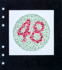 Lydia See  Colorblindness Tests - #48, 2020  “Dvorine Pseudo-Isochromatic Plates”, cotton embroidery thread, gouache  6 3/4h x 6w in 17.15h x 15.24w cm, $250 unframed, Red and green dots, with 48 in center, hand stitching matches colors