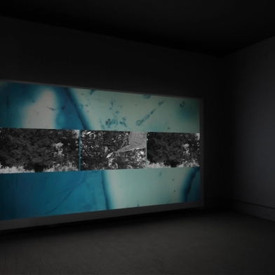 Dawn Roe in exhibition at Cornell Fine Arts Museum