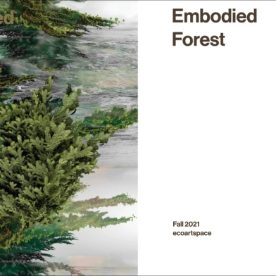 Dawn Roe's: 'Wretched Yew' Included in ecoartpace Embodied Forest Exhibition and Publication
