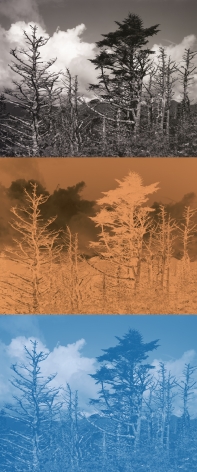 Three paneled photograph of Mt. Mitchell, by Gesche Wurfel