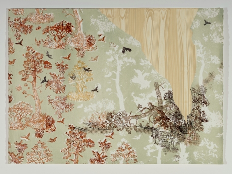 Margaret Curtis  Clearcut (birds), 2021  Gouache on paper  22h x 30w in 55.88h x 76.20w cm  MC_066, horizontal work on paper with peeling toile wall paper, wood grain and a flock of birds