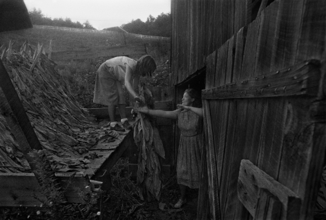 Rob Amberg, Angie and Juanita Shelton Unloading Tobacco, Hopewell, Madison County, NC, 1983, Archival Pigment Print, 13 1/2h x 20w in, Edition of 12