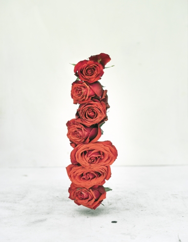 Photograph of stack of red flowers, by James Henkel