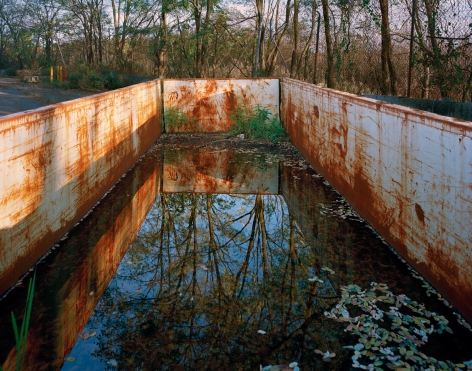 Photograph of the interior of a white, rusted construction dumpster filled with water which is reflecting the landscape behind it. Trees, water and foliage. Freshkills, NYC