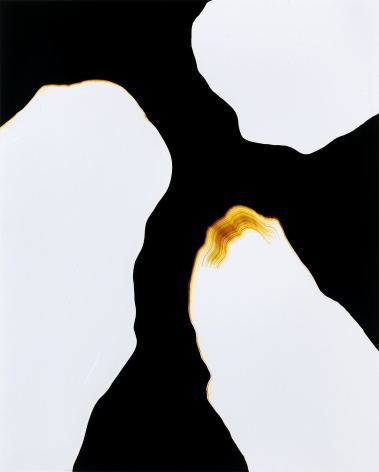 Marco Breuer  Untitled (C-1763), 2015  Chromogenic Paper, embossed/scraped  19h x 15 1/4w in, unique, Future Past, Photography
