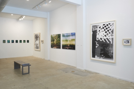 Installation view of gallery exhibition