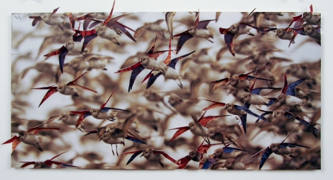 Nicholas Hall  Untitled (Birds), 2013  Dimensional Paper Cut-Out  10h x 19 3/4w in 25.40h x 50.17w cm  NH_001, image of a flock of birds that has been cut to be made three dimensional