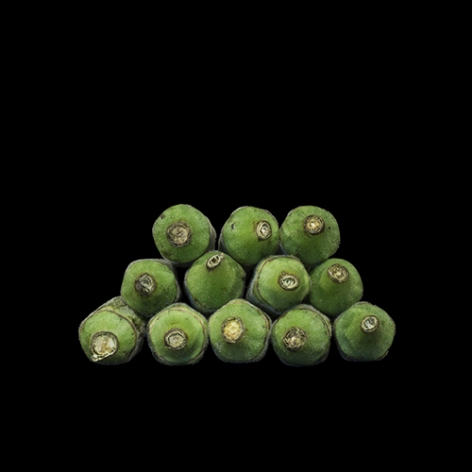 Gesche Würfel  Okra, (Mordecai Plantation), 2016  Archival Pigment Print  8h x 8w in 20.32h x 20.32w cm  Edition of 5, Photograph, Stack of green okra Black background