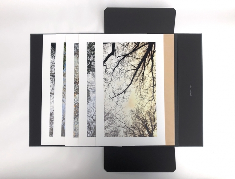 From the Forest Floor Portfolio of 5 Archival Pigment Prints 12.5 x 20 inches each, paper size 9.5 x 17 inches each, image size Edition of 3 Each print is signed and stamped, verso Collophon Handmade portfolio case by Karen Hardy $1,750