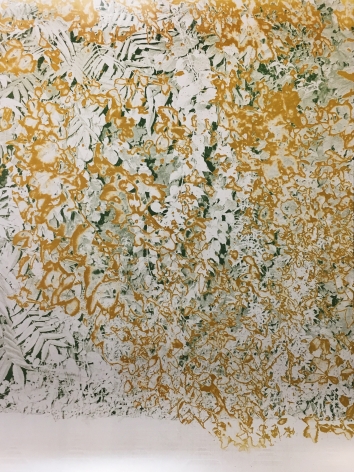 Bryan Graf  Ridge (Tropical Haze), 2019  Chromogenic Print  42h x 32w in Edition of 5 - an abstract work consisting of vibrant yellows and greens over a white background